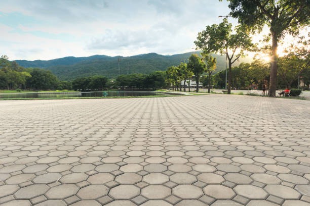 Best Cobblestone Driveway Pavers  in Ravenel, SC